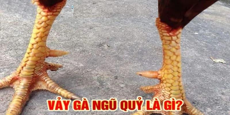 Khái niệm vảy gà ngũ quỷ là gì?